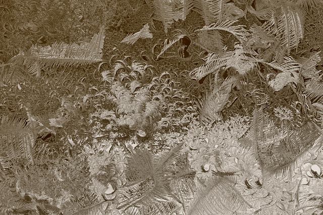 Free Frost Window photo and picture