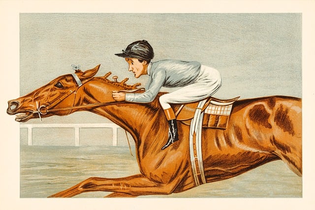 Free jockey horse rider illustration