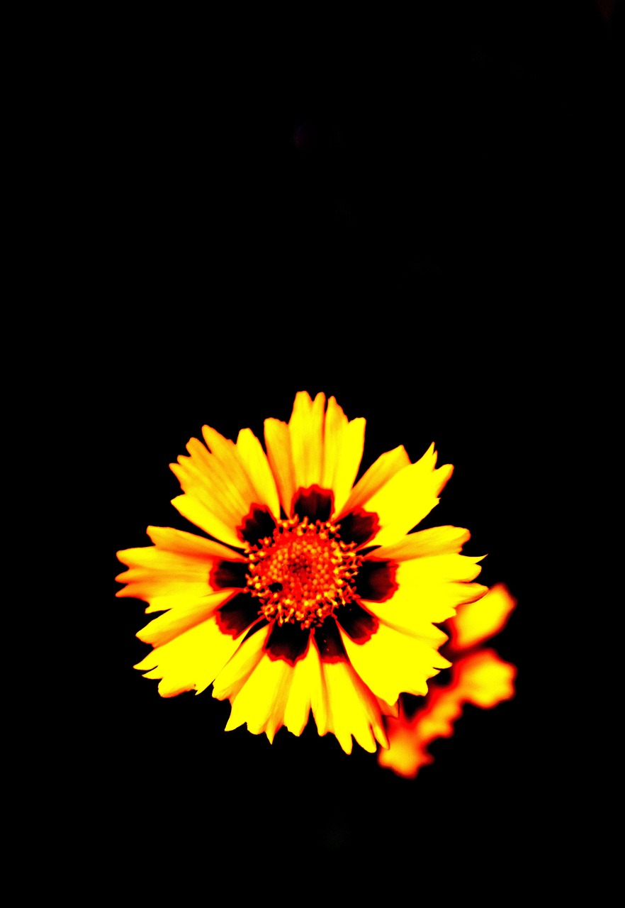 Mørk Svart Natt - Gratis foto på Pixabay - Pixabay