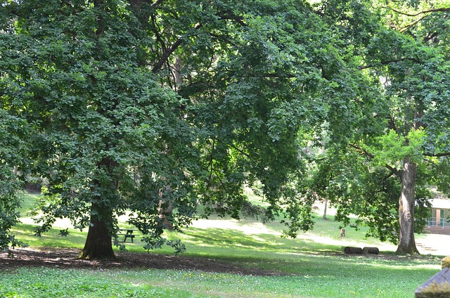 Free Green Outdoor photo and picture
