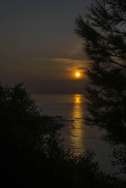 Free Sun Sunrise photo and picture