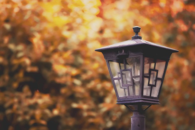 Free Street Lamp Light photo and picture
