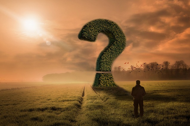 Free Question Man photo and picture
