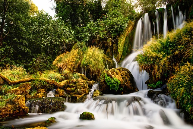 Free Waterfall Plants photo and picture