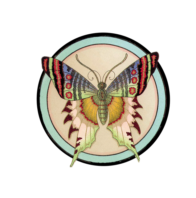 Download free HD stock image of Butterfly Vintage Free butterfly vintage decoration illustration