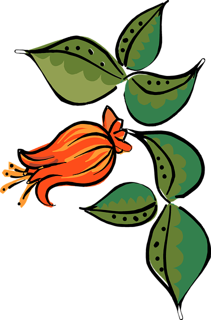 Free flower nature decoration illustration