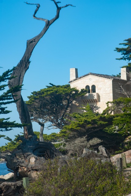 Free Pebble Beach 17 Mile Dr photo and picture