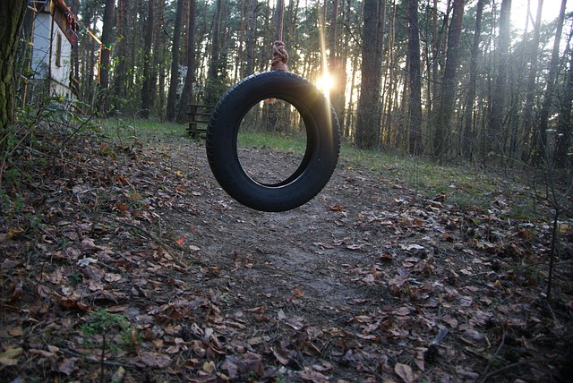Free Forest Tire photo and picture