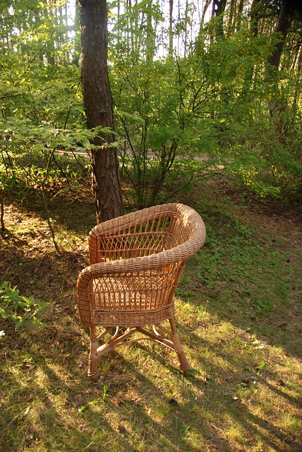 Free Nature Seat photo and picture