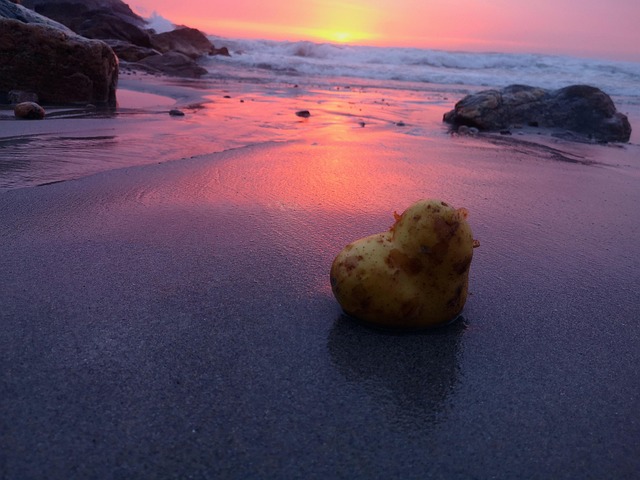 Free Sunset Ocean photo and picture