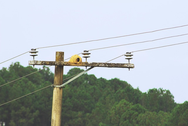 Free Post Wire photo and picture