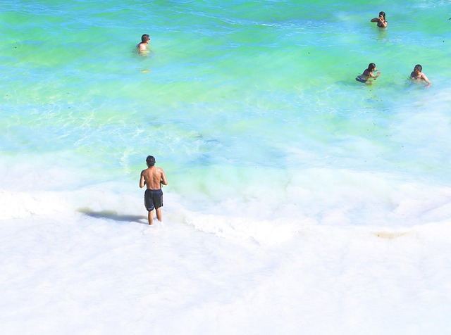 Free Sea Beach photo and picture