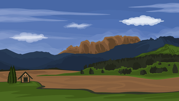 Gras, Wald, Kiefer, Natur, Bäume, Sommer