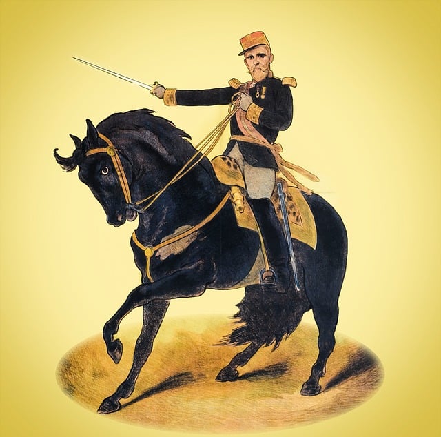 Free guy man nature illustration