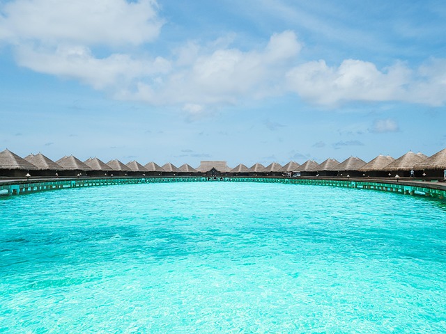 Free Maldives Beach photo and picture