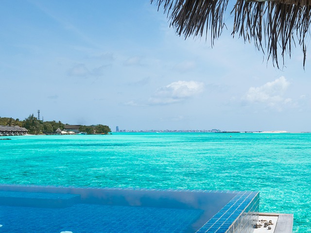 Free Maldives Beach photo and picture