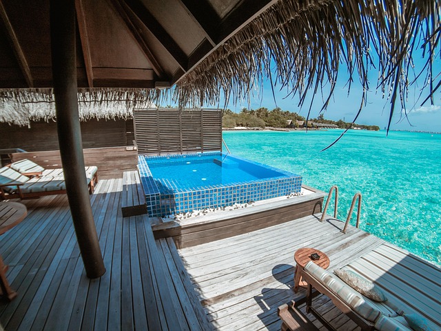 Free Maldives Beach photo and picture