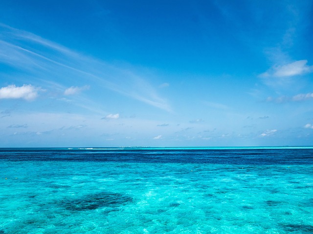 Free Maldives Beach photo and picture