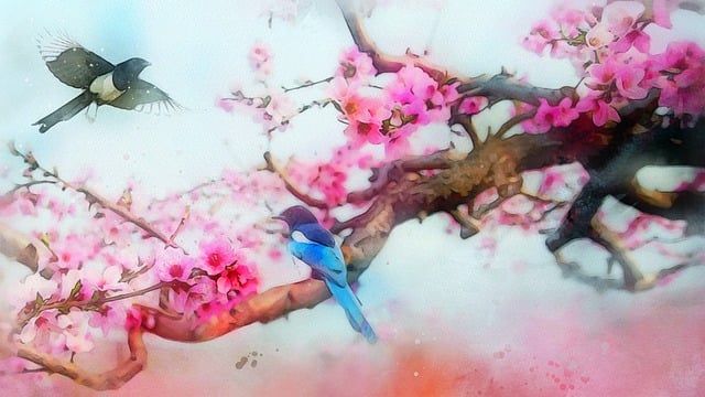 Free flower plant peach blossom illustration