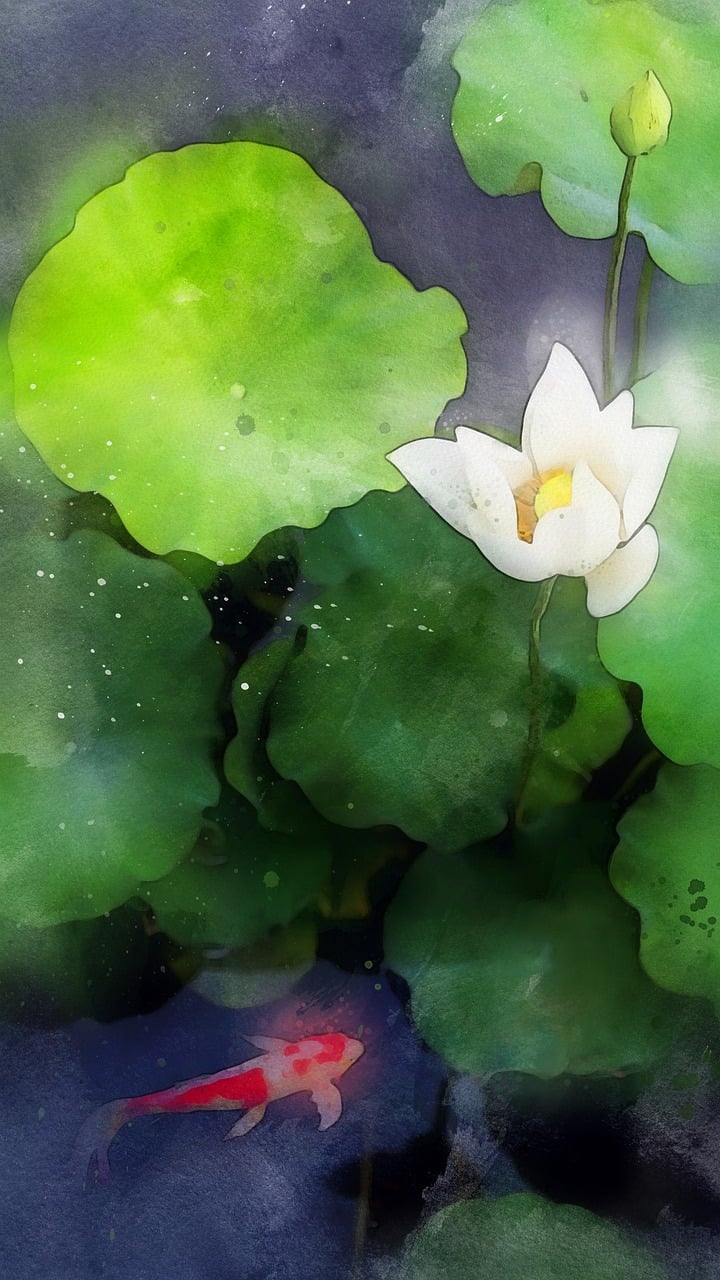 ロータス 魚 水 Pixabayの無料画像