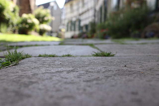 Straße, Beton, Gras, Gehweg, Unkraut