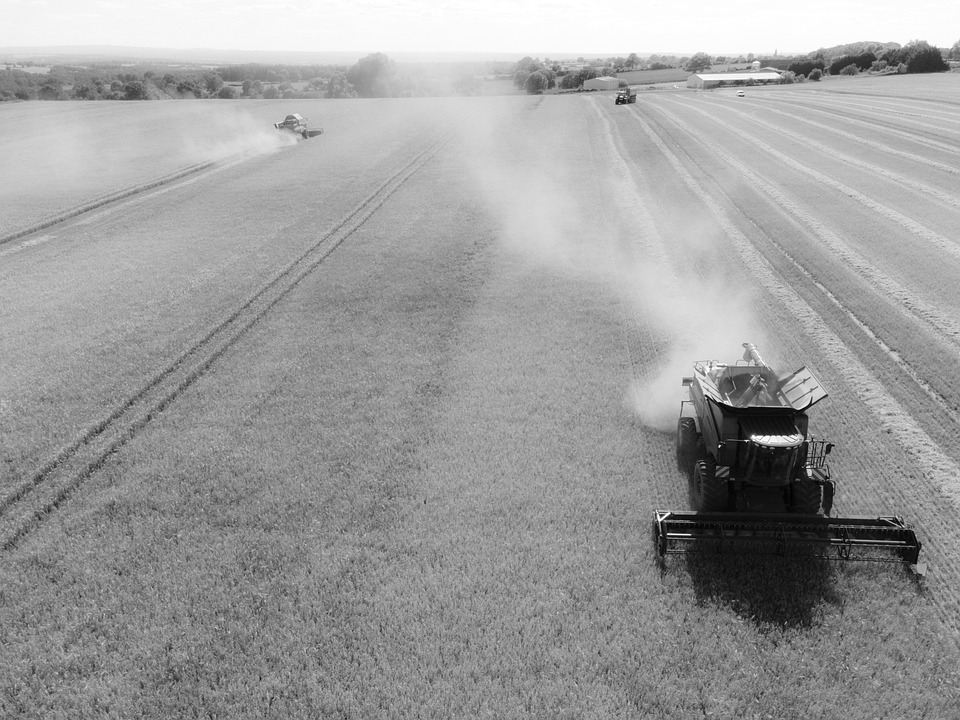 Moisson Été Blé - Photo gratuite sur Pixabay