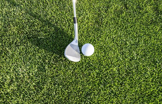 Free Golf Grass photo and picture