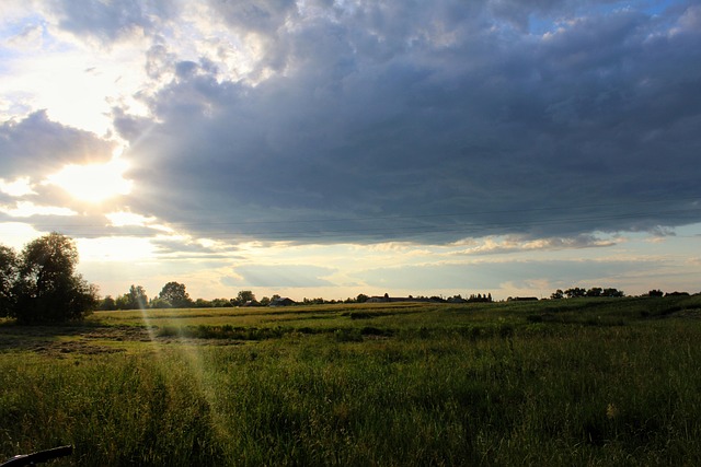 Free Nature Beauty photo and picture