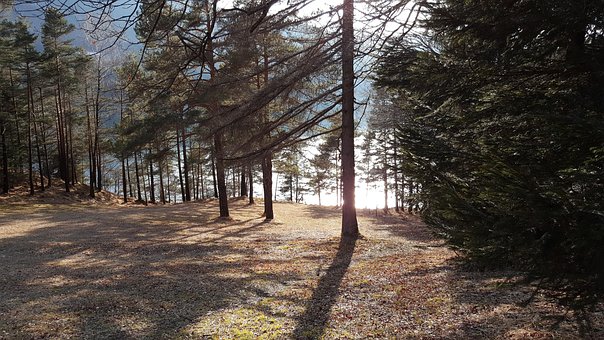 Free Lake Hike photo and picture