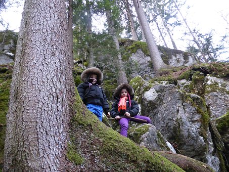 Free Children Hike photo and picture