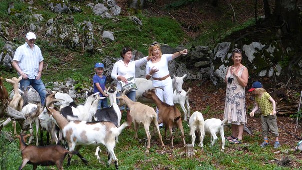 Free Hike Nature photo and picture