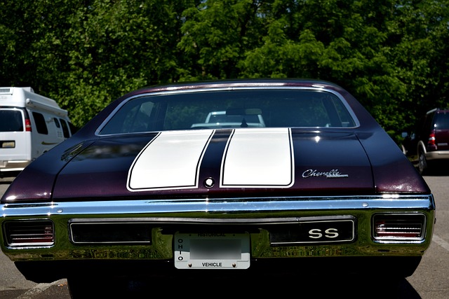 Free Chevy Chevrolet Chevelle photo and picture