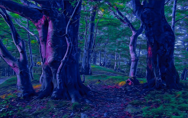 1,000+ Free Beeches & Beech Images - Pixabay