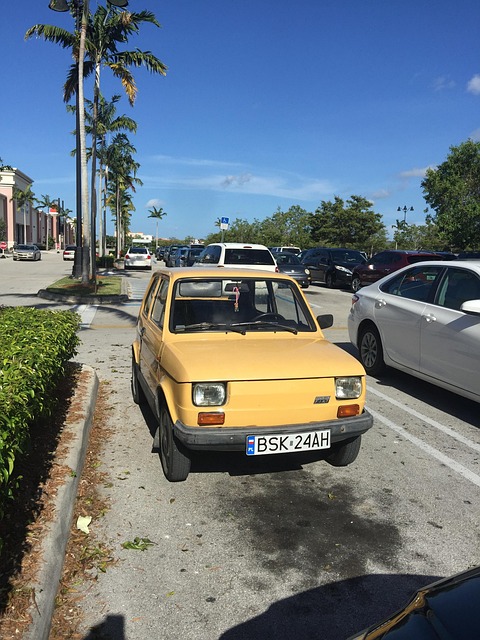 Free Car Polski photo and picture