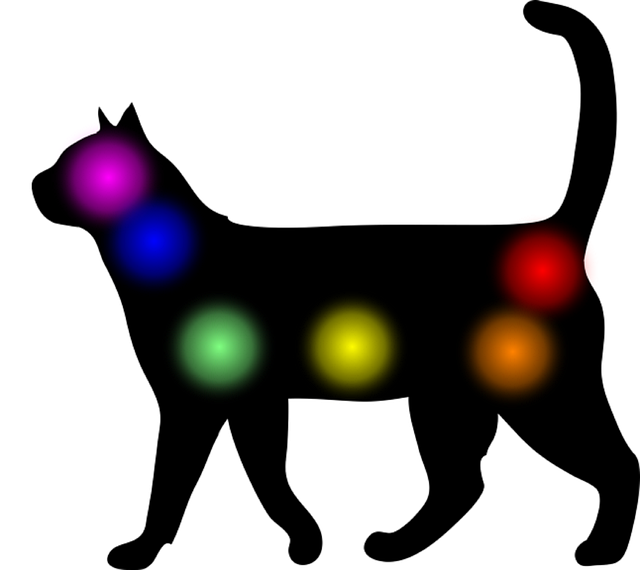 Free Aura Cat illustration and picture