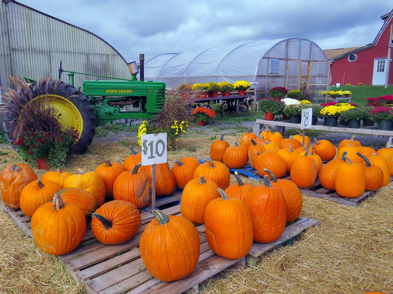 Cultiver Citrouilles Ferme De - Photo gratuite sur Pixabay - Pixabay