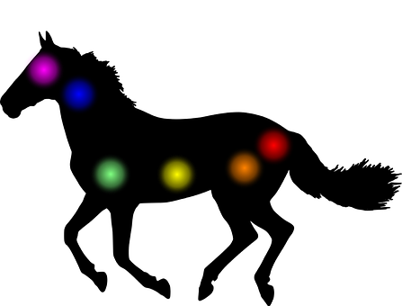 Aura, Chakra, Caballo, Animal