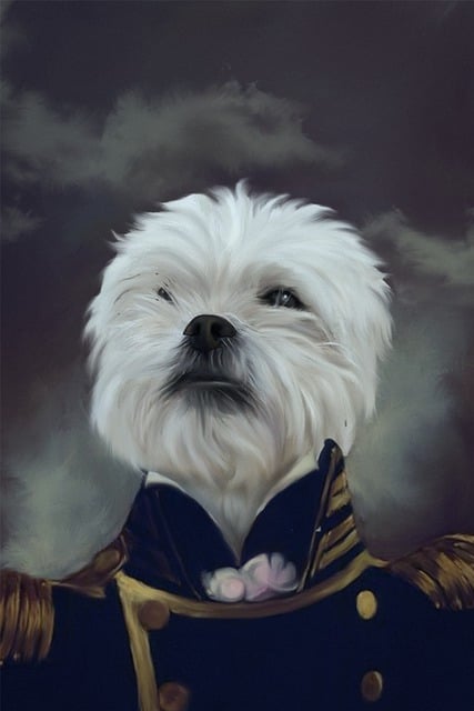 Free pet portrait custom pet portrait pet illustration