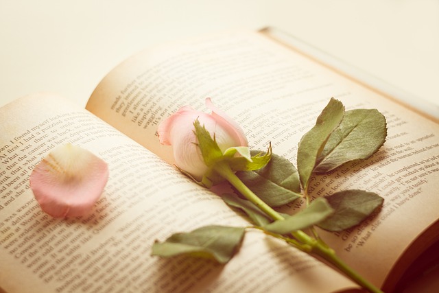 Amar Los Libros, Flor Rosa, Rosa, Libro