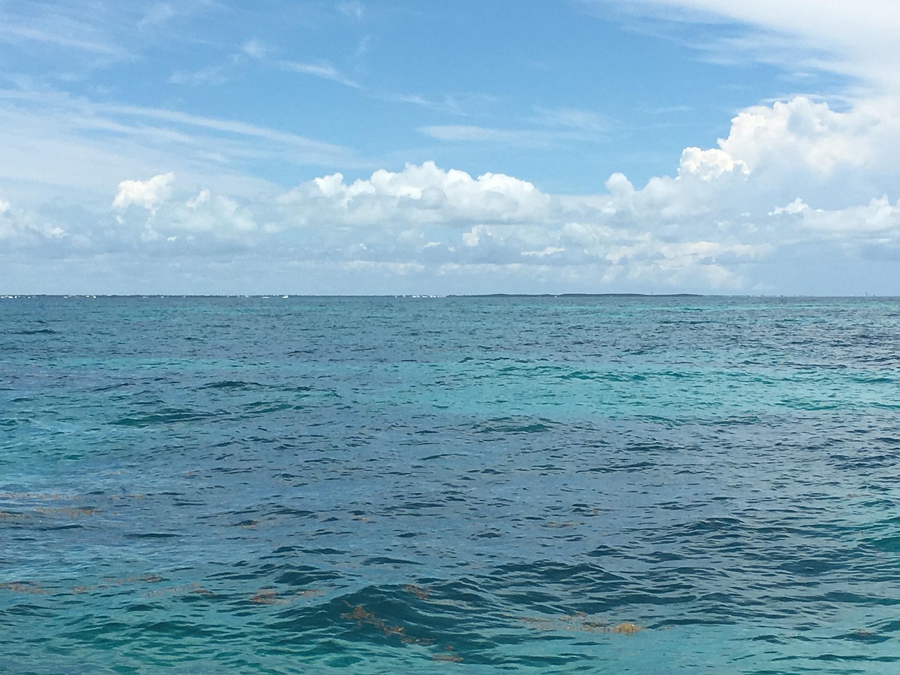 Ocean FloridaKeys Water Free photo on Pixabay Pixabay