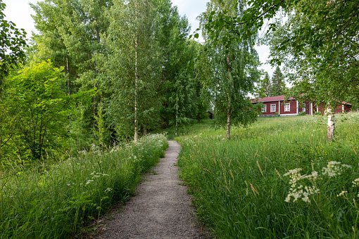 Zomer, Huisje, Natuur, Zon, Bomen, Woud