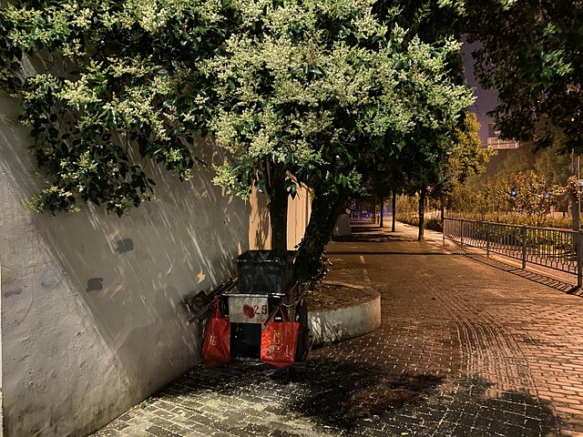 Free Night Tricycle photo and picture