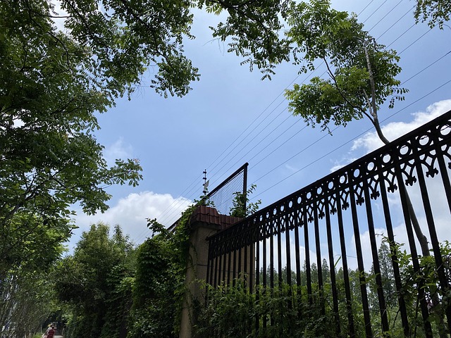 Free Fence Sky photo and picture