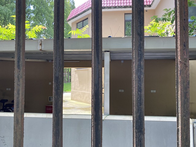 Free Fence Summer photo and picture