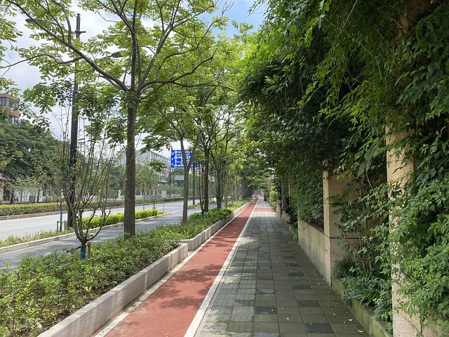 Free Street Summer photo and picture