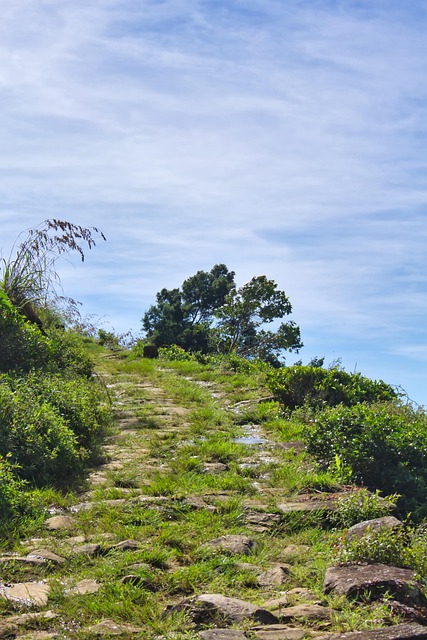 Devil ' S Staircase