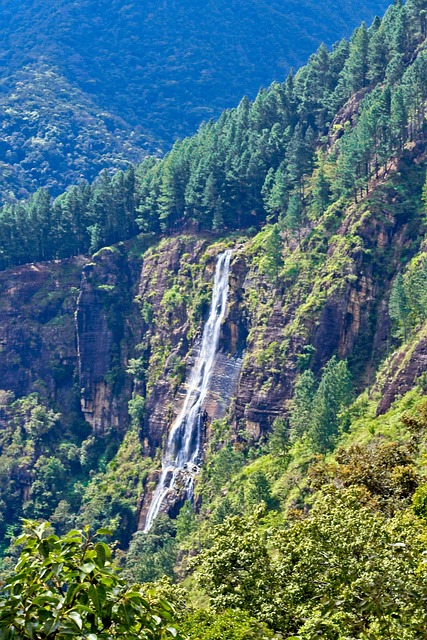 Natur, Wasserfall, Landschaft, Grün