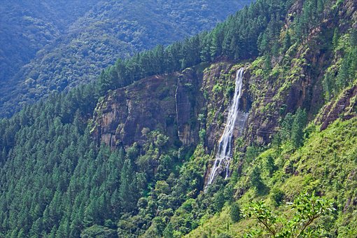 Natur, Wasserfall, Landschaft, Grün