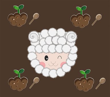 Bodem, Lepel, Bodem Lepel, Ram, Schapen