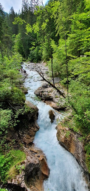 Free Ramsau Alpine Lake photo and picture